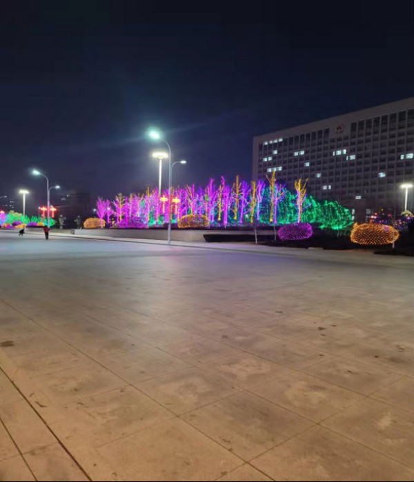 赤峰市紅山區(qū)2022年春節(jié)亮化項目